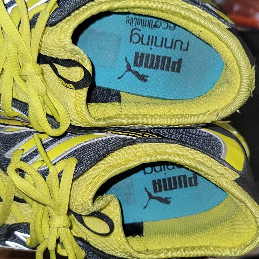 Puma - Picture 6 of 7